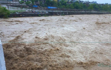 फाइल तस्बिर।